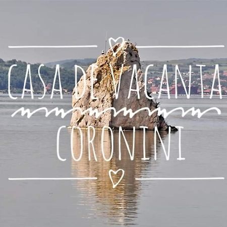 Casa De Vacanta Danube Moldova Noua Exteriör bild